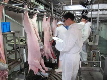 農業(yè)部擬組織對《生豬屠宰管理條例》進行修訂