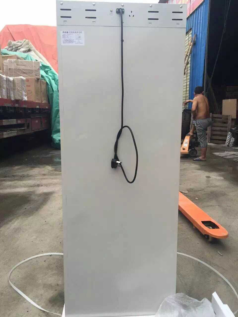 消毒柜 立式雙開門消毒碗柜 低溫臭氧消毒凈水器會銷評點(diǎn)禮品