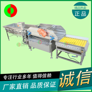 供應(yīng)清洗機(jī)WL-24 專(zhuān)業(yè)臭氧消毒洗大棗 去雜去毛發(fā)洗菜機(jī) 商用