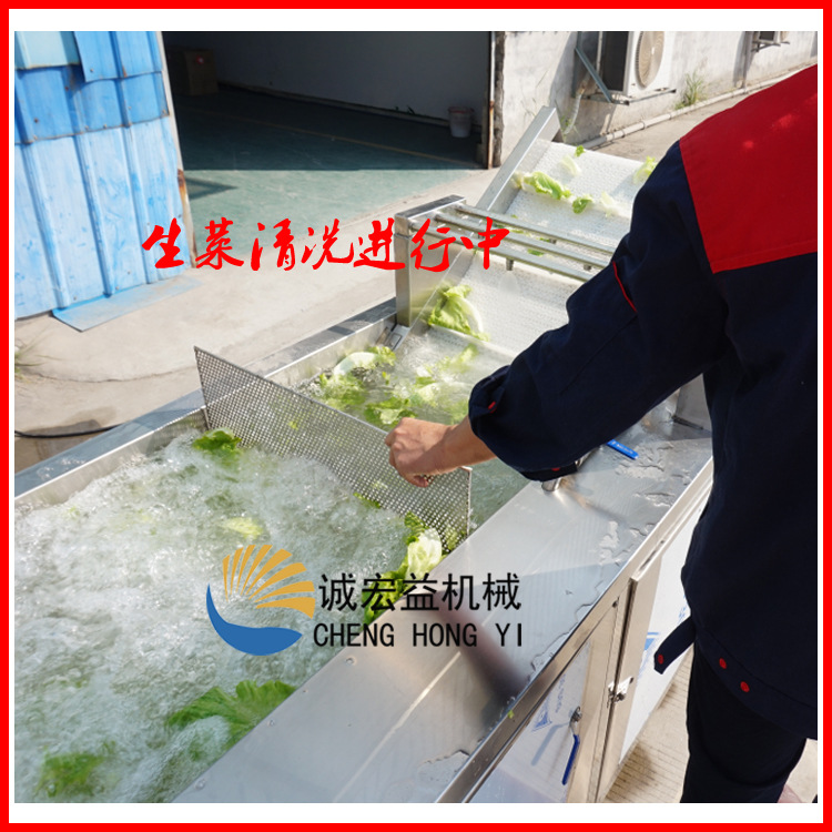 暢銷 商用大型氣泡臭氧洗菜機(jī) 蒜臺/山芹菜清洗機(jī) 現(xiàn)貨供應(yīng)