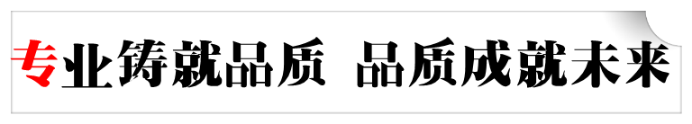 專(zhuān)業(yè)鑄就品質(zhì) 品質(zhì)鑄就未來(lái)
