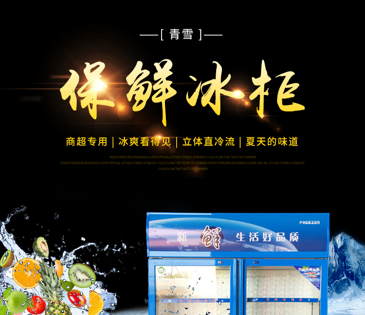 大型立式雙門(mén)冷藏柜保鮮柜冰柜冰箱展示柜冷柜商用飲料柜冷飲蔬菜