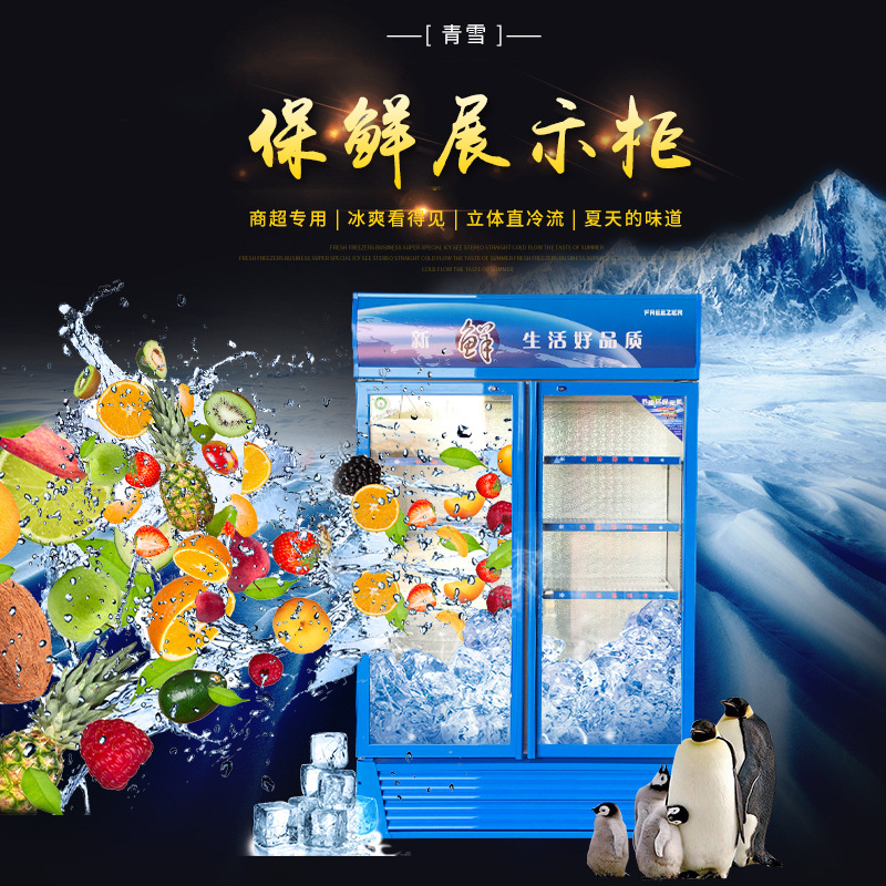 大型立式雙門(mén)冷藏柜保鮮柜冰柜冰箱展示柜冷柜商用飲料柜冷飲蔬菜