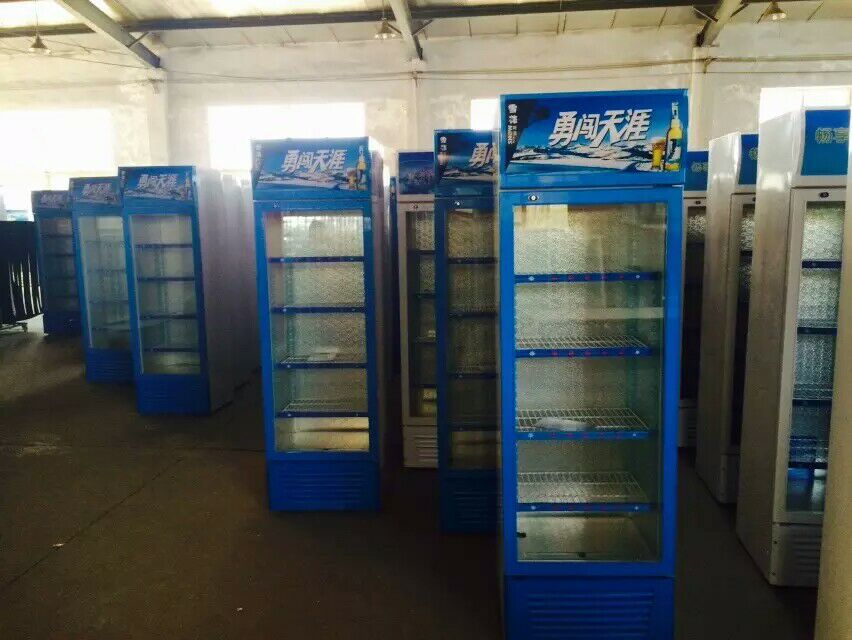 大型立式雙門(mén)冷藏柜保鮮柜冰柜冰箱展示柜冷柜商用飲料柜冷飲蔬菜