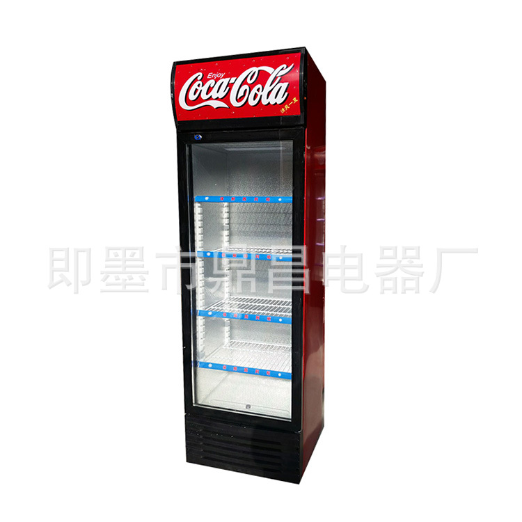 大型立式雙門(mén)冷藏柜保鮮柜冰柜冰箱展示柜冷柜商用飲料柜冷飲蔬菜