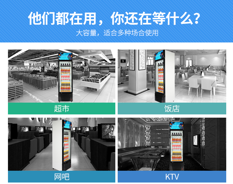 德瑪仕商用 展示柜立式冰柜商用 士多小賣(mài)部冷藏柜 雙門(mén)-760L