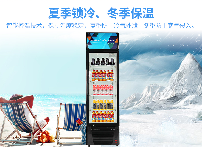 德瑪仕商用 展示柜立式冰柜商用 士多小賣(mài)部冷藏柜 雙門(mén)-760L