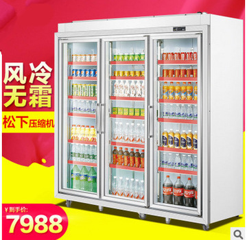 廠家直銷冰淇淋柜 風冷臥式商用硬質(zhì)冷凍雪糕柜展示柜12盤新品