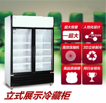 廠家直銷冰淇淋柜 風冷臥式商用硬質(zhì)冷凍雪糕柜展示柜12盤新品