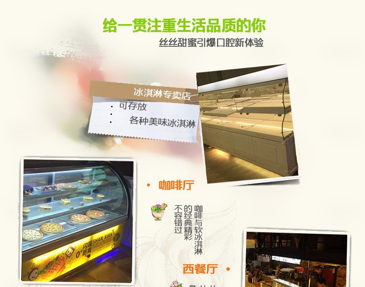 廠家直銷冰淇淋柜 風冷臥式商用硬質(zhì)冷凍雪糕柜展示柜12盤新品