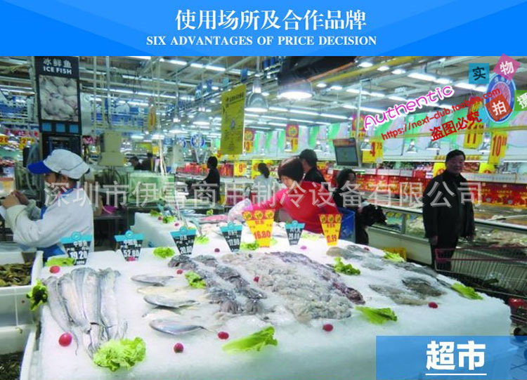 日產(chǎn)1T片冰機商用鱗片冰機工業(yè)冷藏漁業(yè)冷藏海鮮片冰
