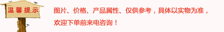 熱銷供應(yīng) 不銹鋼板冰機 商用制冰機 廣東板冰機