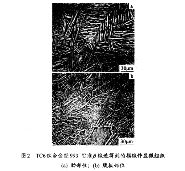 TC6鈦合金經(jīng)993℃準β鍛造得到的模鍛件顯微組織(a) 肋部位；(b) 腹板部位