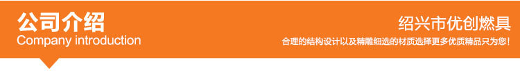 燃?xì)庠?廠家批發(fā)商用不銹鋼雙眼天然氣節(jié)能灶 酒店廚房專(zhuān)用灶具